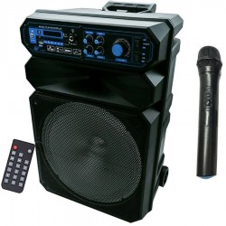 KARAOKE CASSA AMPLIFICATA 5000W MP3 RADIO MICROFONO BLUETOOTH USB SD AUX TROLLEY