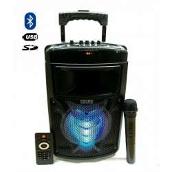 CASSA ACUSTICA AMPLIFICATA RICARICABILE TROLLEY KARAOKE CON MICROFONO 2000 WATT